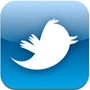 Twitter již brzy v češtině?