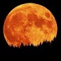 Zajímavá noc