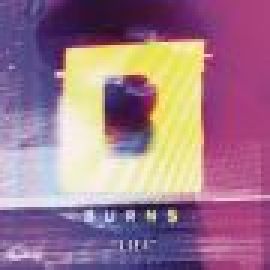#338 | BURNS - Lies